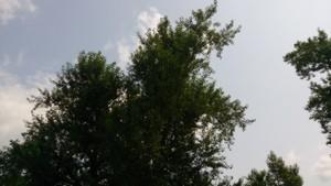 Смартфон Sony Xperia ZR:, фото 12