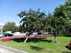 Смартфон Ulefone Be Touch 2:, фото 26