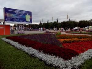 Недорогой смартфон UMI X2 с 5” Full HD-экраном, фото 1