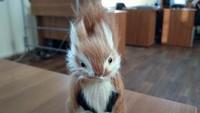 Смартфон Vivo Xplay 3S:, фото 44