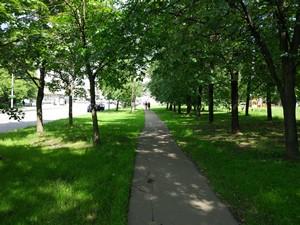 Смартфон Xiaomi Mi 5:, фото 31
