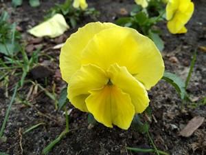 Смартфон Xiaomi Mi Mix:, фото 26