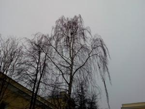 Смартфон Zopo 998:, фото 37