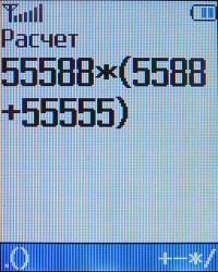 Samsung SGH-X450, фото 12
