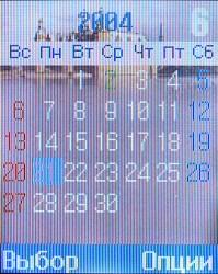 Samsung SGH-X450, фото 10