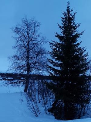 Смартфон Samsung Galaxy S7 Edge, часть 2:, фото 5