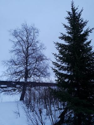 Смартфон Samsung Galaxy S7 Edge, часть 2:, фото 6