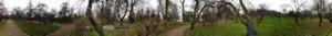 Samsung Galaxy Round:, фото 6