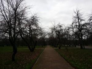 Samsung Galaxy Round:, фото 3