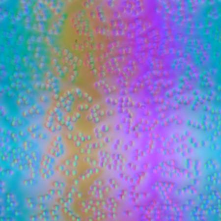 ЖК-монитор BenQ SW2700PT, Микрофотографии матрицы ЖК-монитор BenQ SW2700PT, Микрофотографии матрицы