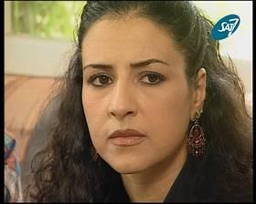 AVerTV DVB-S, фото 29
