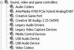 Гибридный TV- и FM-тюнер AVerTV Hybrid Speedy PCI-E, фото 8