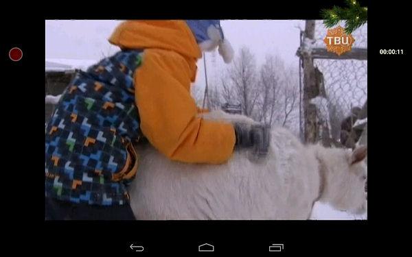 Цифровой ТВ-тюнер AVerTV Mobile 510 (EW510), фото 22