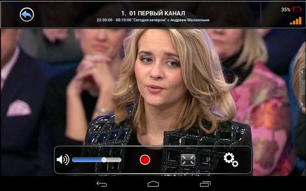 Цифровой ТВ-тюнер AVerTV Mobile 510 (EW510), фото 19