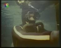 TV- и FM-тюнер AVerTV Studio Model 507, фото 28