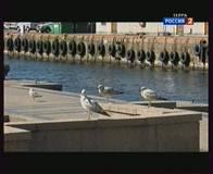 TV- и FM-тюнер AVerTV Volar Go (A833):, фото 41