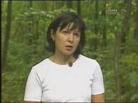 Behold TV M6 Extra, фото 46