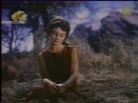 Автономный TV- и FM-тюнер Behold TV SOLO, фото 34
