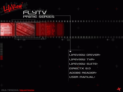 FlyTV Prime 34 FM (FlyVideo 3000 FM), фото 13