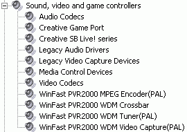 TV-и FM-тюнер WinFast PVR2000, фото 20