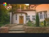 Автономный TV-тюнер Leadtek WinFast TV Pro II, фото 37
