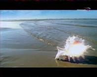 Leadtek WinFast TV2000XP Global, фото 24