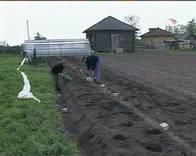 Leadtek WinFast TV2000XP Global, фото 26