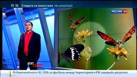 Телевизионный ресивер Openbox T2-02HD mini:, фото 37