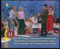 Terratec Cinergy 600 TV Radio, фото 36