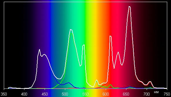 Spectrum