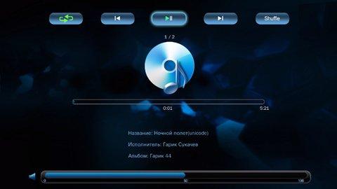 Сетевой медиаплеер Compro VideoMate T1000W, фото 10