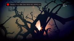 Медиаплеер Dune HD Duo 4K:, фото 48