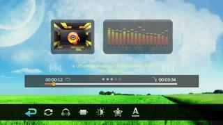 Портативные медиаплееры Full HD Iconbit HMP605HDMI и Iconbit HMP805HDMI:, фото 25