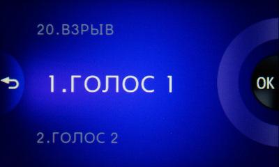 Мультимедийный плеер Samsung R1, фото 41