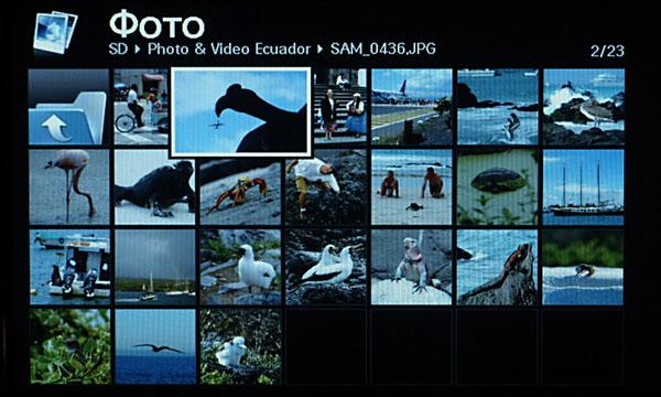 Samsung SPF-87H, фото 11