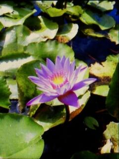 Sony S638F, фото 25