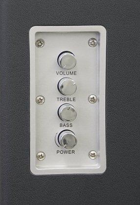 Активные стереколонки Top Device TD 620B, фото 2