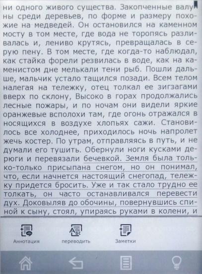 Электронная книга Digma S676