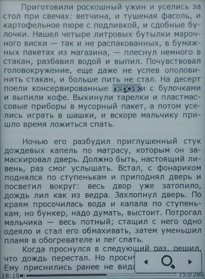 Электронная книга Digma S676