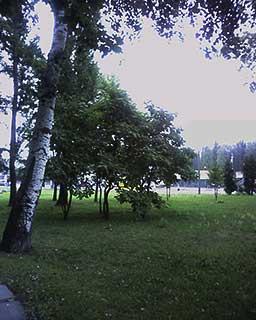 Mitac Mio A701, фото 25
