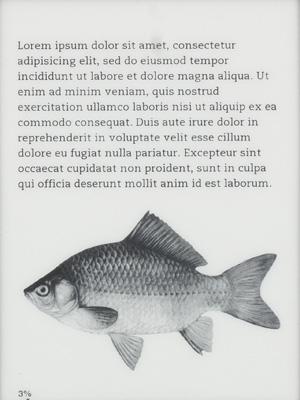 Onyx Boox M91S Odysseus:, фото 3