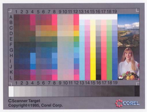 Epson AcuLaser C1000, фото 43