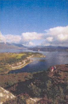 Epson AcuLaser C1000, фото 45