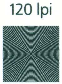 Картриджи iDeal для Epson Stylus Photo R300, фото 17