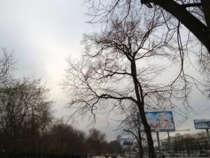 Планшет Asus Transformer Pad Infinity 2013 (TF701T):, фото 1