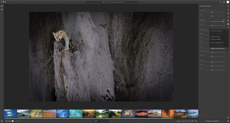 Утечка дала представление о редакторе фотографий Adobe Project Nimbus