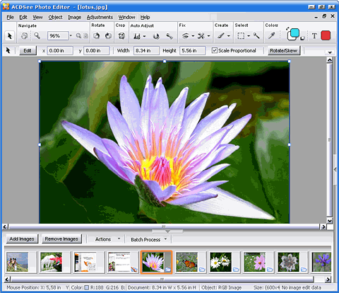 ACDSee Photo Editor 4.0