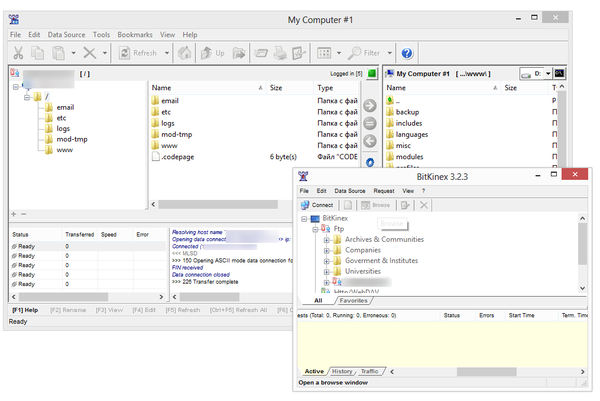 BitKinex: Control Window и Browse Window