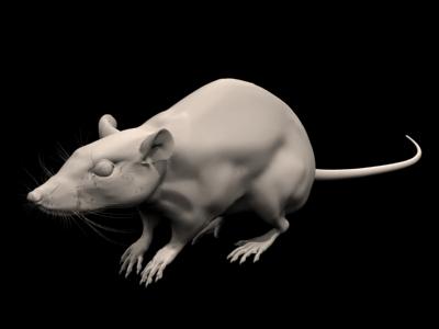 mental ray для 3ds max, фото 2