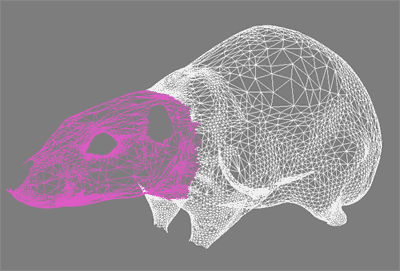 mental ray для 3ds max, фото 3